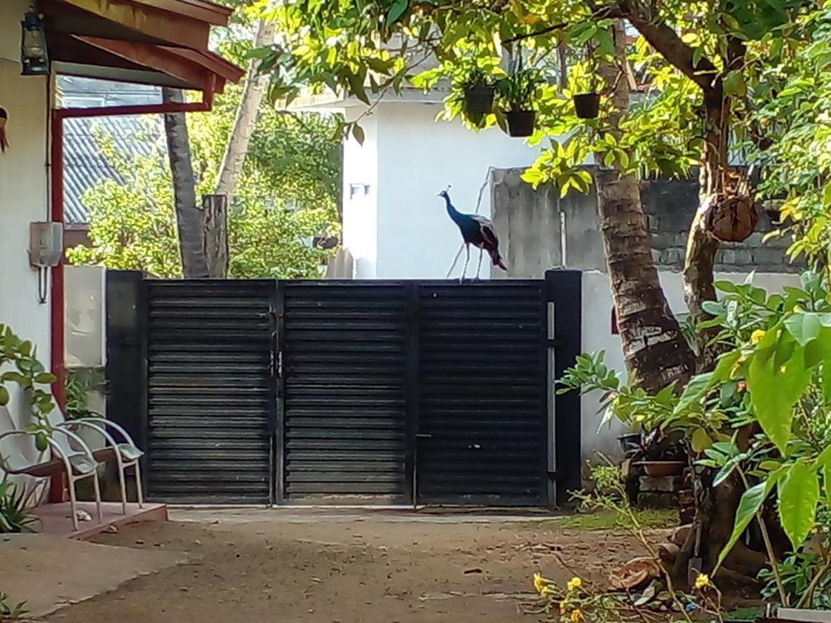 4Ty Two Homestay Galle Eksteriør billede