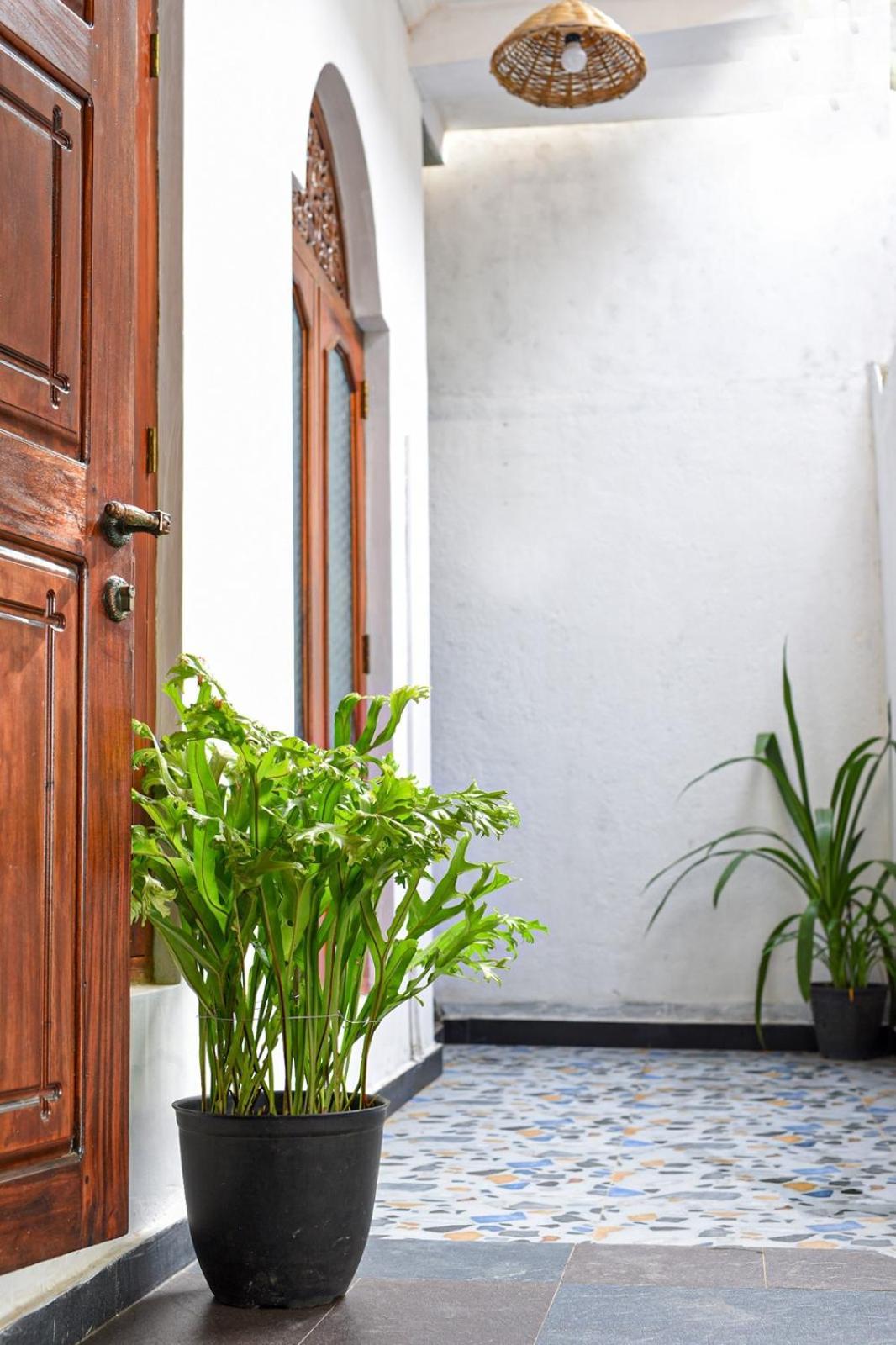 4Ty Two Homestay Galle Eksteriør billede