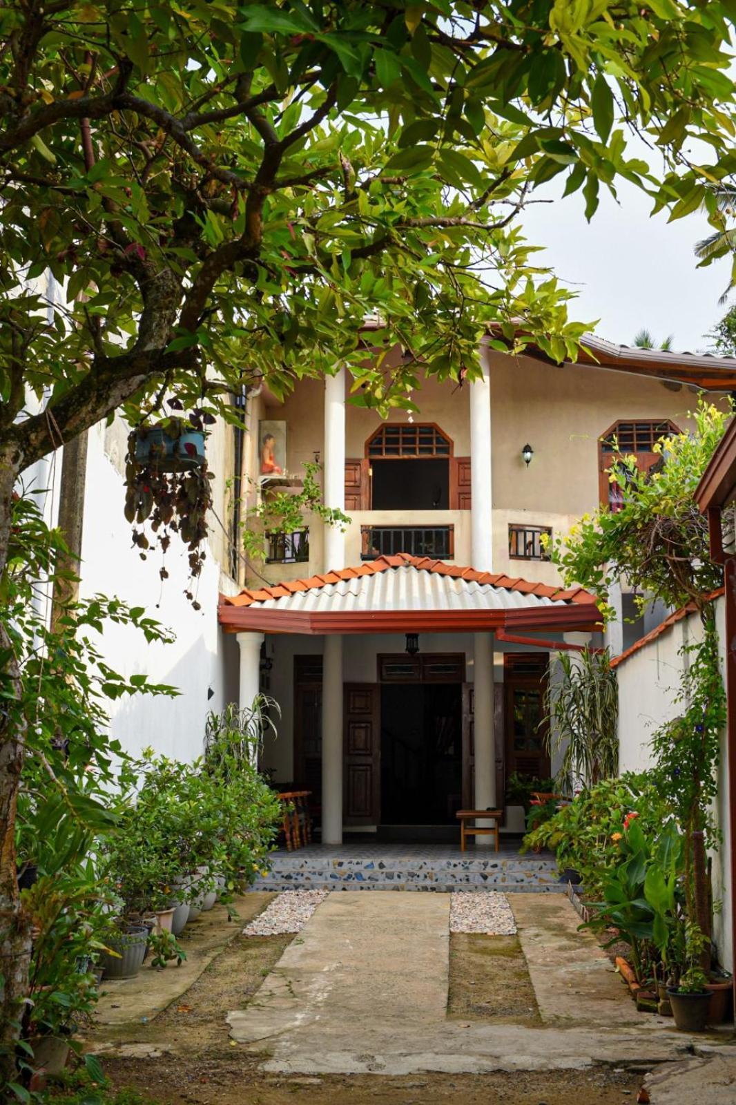 4Ty Two Homestay Galle Eksteriør billede