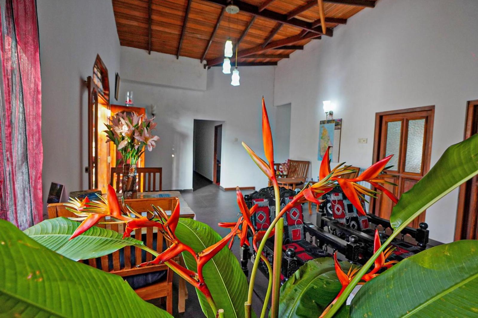 4Ty Two Homestay Galle Eksteriør billede