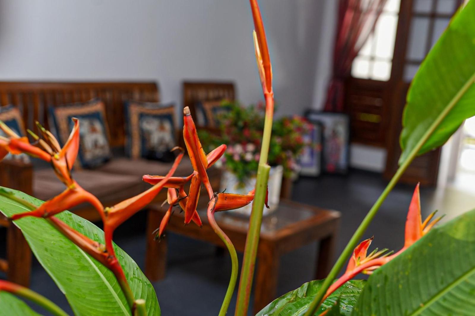 4Ty Two Homestay Galle Eksteriør billede